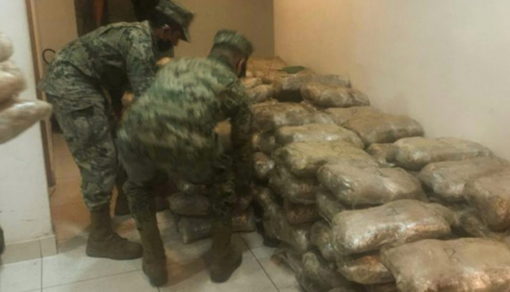 Decomisan Cerca De 2 Toneladas De Marihuana En Tijuana En Tabasco