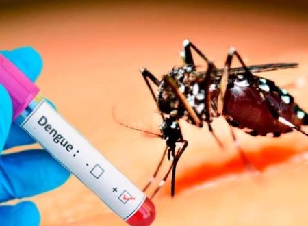 Tabasco registra 617 casos de dengue hasta la segunda semana de noviembre