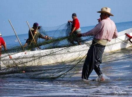 Cae 45.8% la pesca en tres años