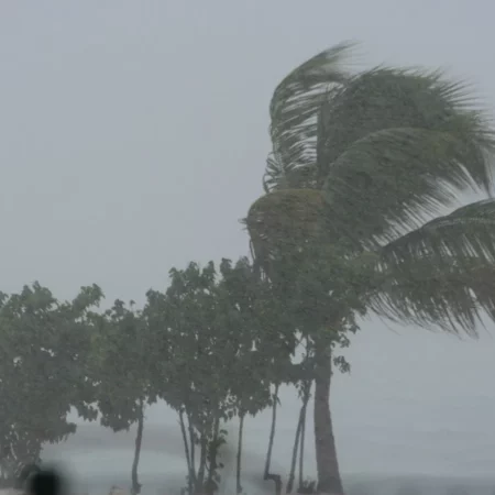 Mantiene en alerta ciclón tropical “Lisa” a Tabasco