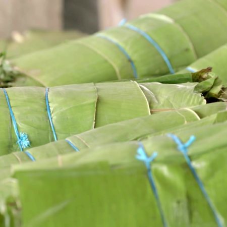 Repunta venta de hoja de tamal en “tianguis campesino”