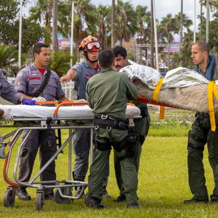 Fuertes lluvias dejan decenas de muertos en Brasil y cientos de damnificados – El Heraldo de Tabasco