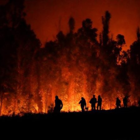 Incendios en Chile ha cobrado 24 vidas y cientos de heridos