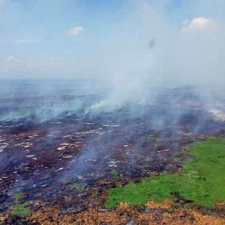 Tabasco es propenso a incendios forestales por sus condiciones climáticas: Carlos Merino – El Heraldo de Tabasco