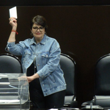 PAN impugnará elección de Guadalupe Taddei como presidenta del INE – El Heraldo de Tabasco