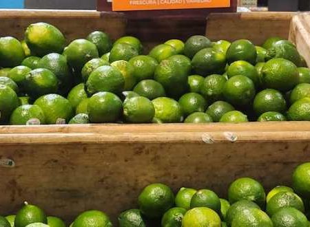 Se dispara el precio del limón; llega a costar hasta 65 pesos el kilogramo