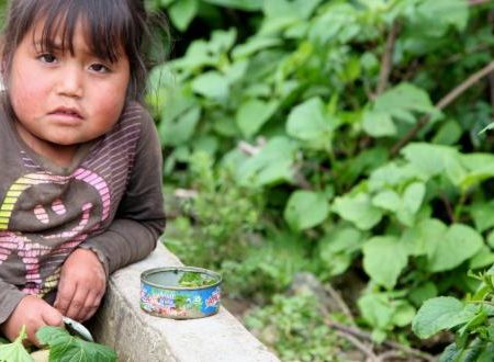 Hay niños desnutridos en más de 200 mil hogares: Inegi