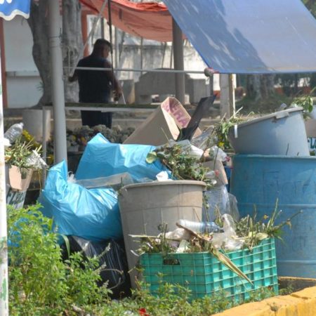 Calor merma venta de floristas en Tabasco tras el Día de las Madres – El Heraldo de Tabasco