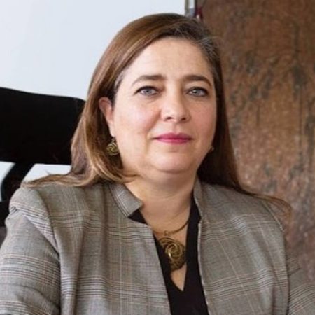 Universidades sufrirán por desaparición de empleos: Silvia Elena Giorguli, presidenta del Colmex – El Heraldo de Tabasco