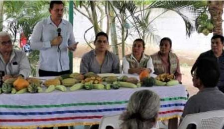 Arranca SBSyCC capacitación para fortalecer a productores de cacao en Comalcalco