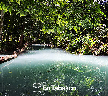 Agua Selva, una reserva ecológica con paisajes impresionantes en Tabasco