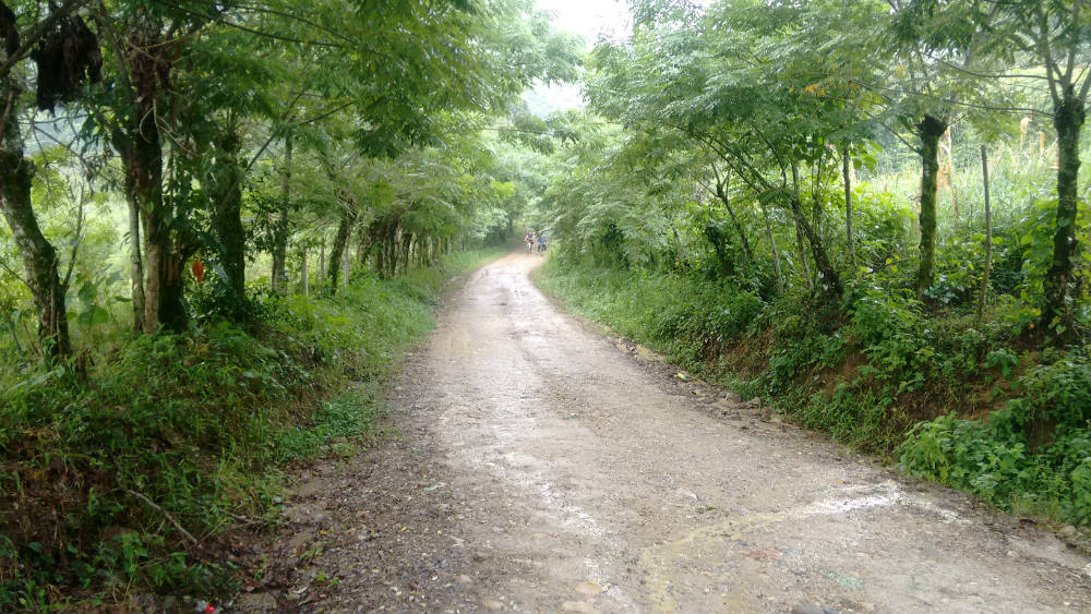 Así es el camino para ir a Agua Selva