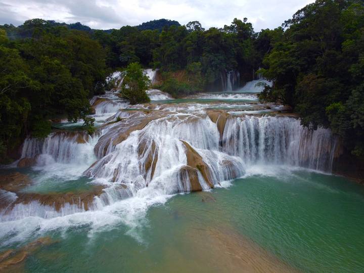 Actividades a realizar en Agua Selva