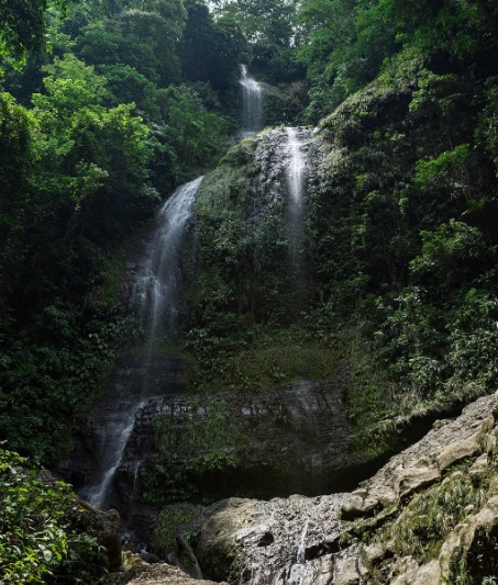 ¿Qué se puede hacer en Agua Selva?